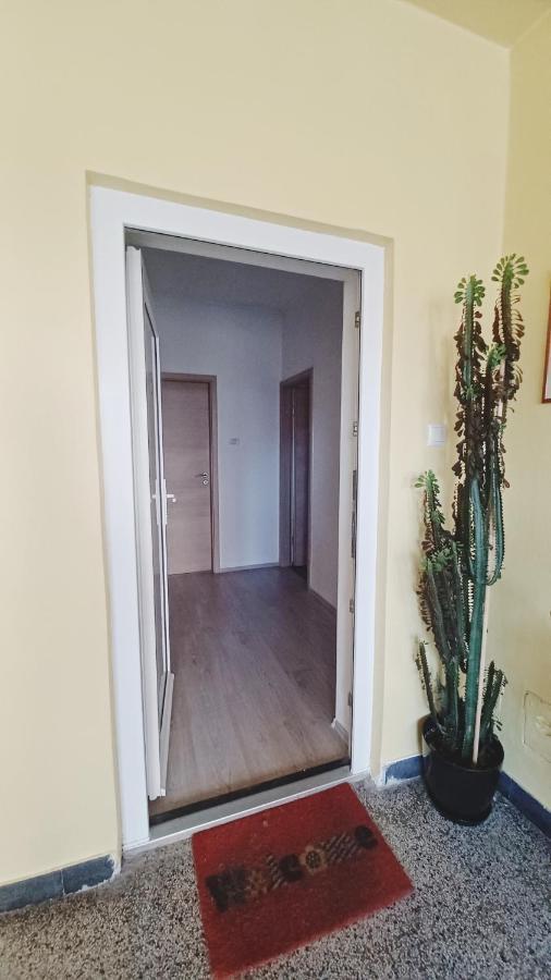 Apartman Dora Apartment Pula Exterior photo